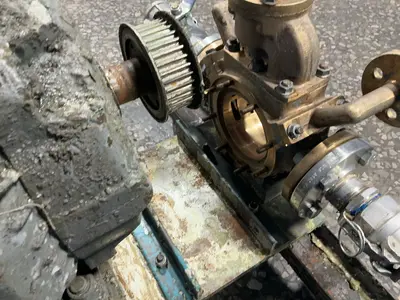 Used BLACKMER BXL1 1/4NFHTB Pumps Ohio US | HGR 24 #1405038