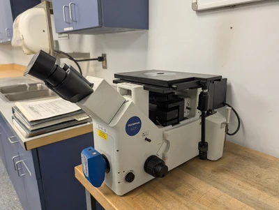 Olympus GX51 Microscope