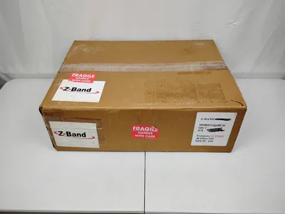 USED Z-Band Z Video GigaBUD 1000