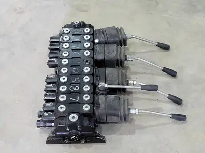 Control Valve Assembly 77010587