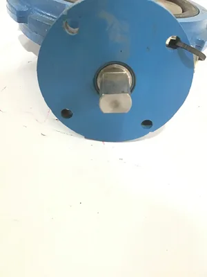 Grinnell 6″Stainless Steel Wafer Lug Butterfly Valve