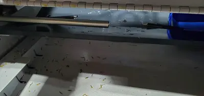 2024 TSUGAMI BO206-V Swiss Type Automatic Screw Machines | Midstate Machinery (6)