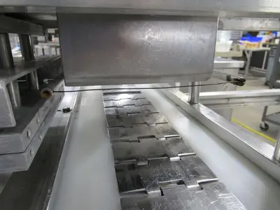 Conveyor with Wirecut