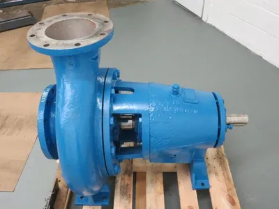 USED Goulds 3175