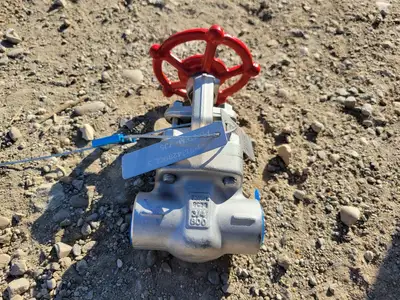 3/4" Class 800 Gate Valve B16.34