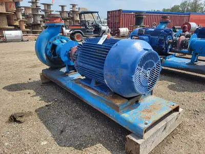 USED GOULDS 3196