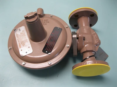 NEW Cashco LPW-34N7-6RX55490A