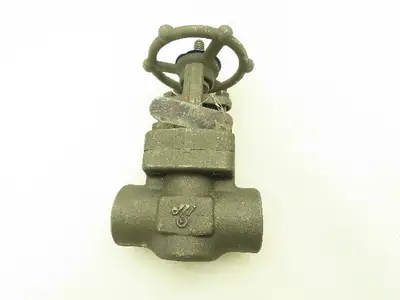 DSI 4101A5-18 Steel 1" NPT Threaded x Socket Gate Valve 1990 PSI #800  LOT OF 2