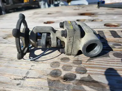 2019 3/4" Class 800 Gate Valve