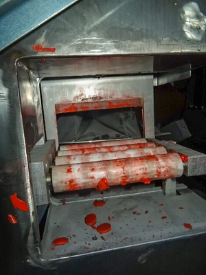 Samfull S/S extruder with horizontal form fill and sealer