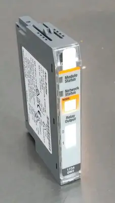 Allen Bradley 1734-OW2 /C Digital Output Point Loc4D48