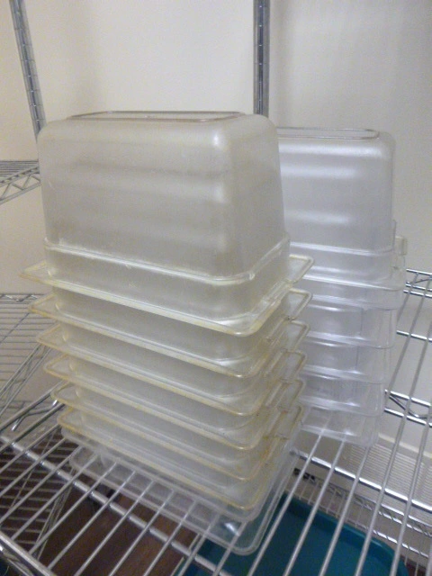 Ninth Size Salad Bar Containers