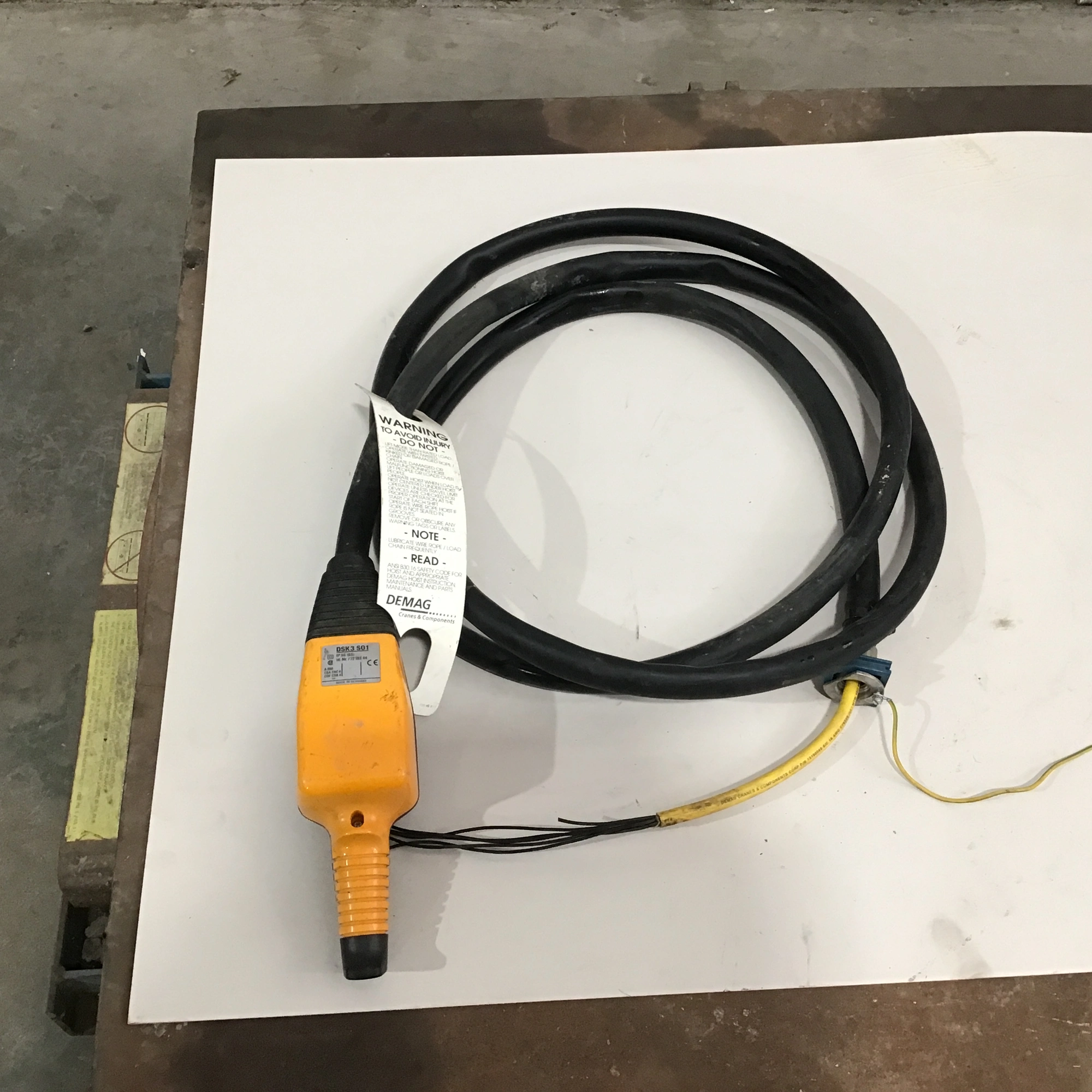 Demag DSK3 S01 Chain Hoist Control Switch 9Ft Lead IP55 A300 CSA ENC4 COF CSA4