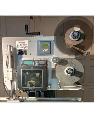 USED WEBER 4300