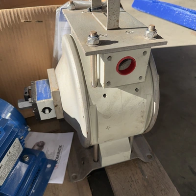35 LPM Flotronic One Nut Double diaphragm Pump