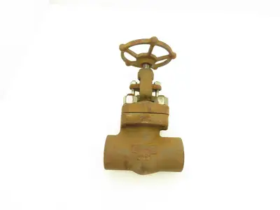 Velan W5520SW W5520SW Globe Valve 2" Socket Weld 1975psi Class 800
