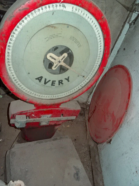 100Kg Avery Dial Scale Type 3303Cob