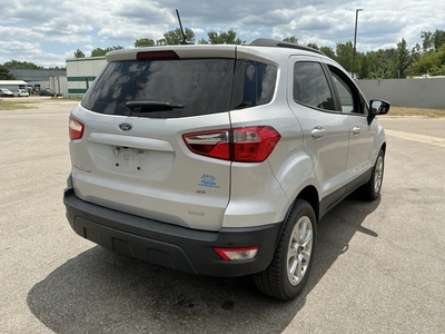 Used 2019 FORD ESCAPE SUVs Michigan US | Miedema Asset Management Group #1324251