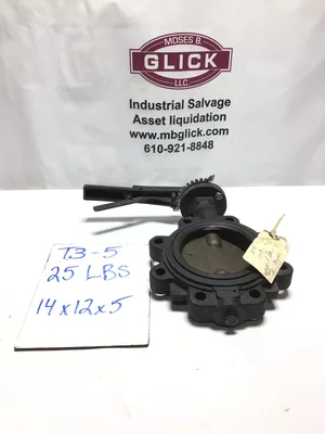 Crane 167898785 Lug Style Butterfly Valve 5″