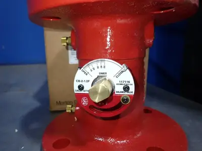 Bell & Gossett Valve