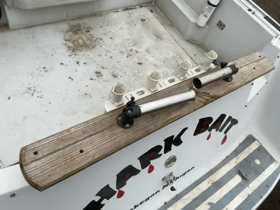 USED 1987 RINKER FIESTA VEE 250