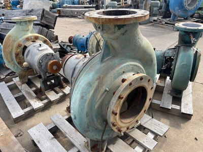 USED Goulds 3175