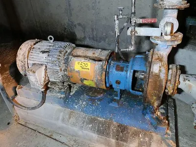 USED GOULDS 3196MXT