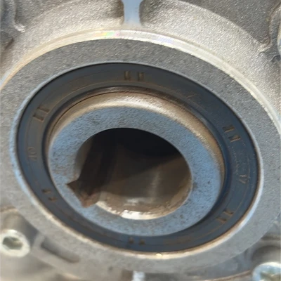 New | in-Stock Bonfiglioli Bonfiglioli VF49P124P71B5B3 Gearboxes Indiana US | J&J Industrial Supply #1427158