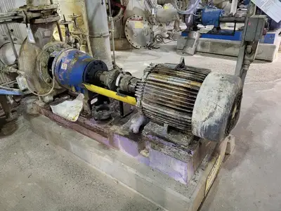 USED GOULDS 3175M