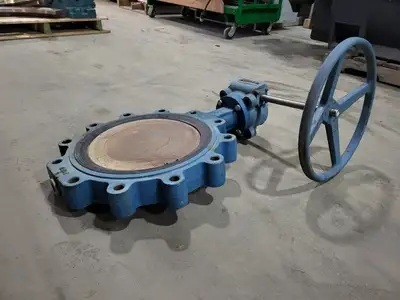 14" Class 150 Butterfly Valve
