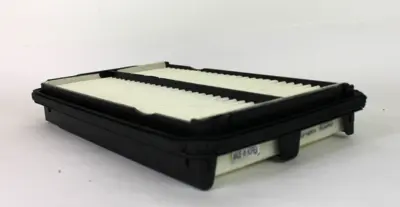 Napa Gold 6443 Air Filter
