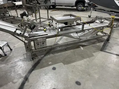 USED WECO / WEIGHRIGHT / A&B BERRYTEK TWO-VIEW COLOR/SOFT SORTER