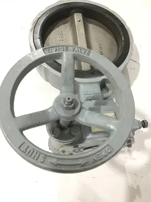 Tomoe K6129/250A/SCS13A 10″ Semi Lugged Butterfly Valve