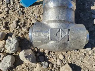 1" Class 800 Globe Valve API 602