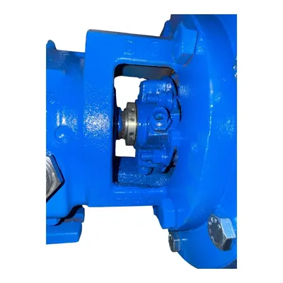 Used GOULDS LF3196 Pumps MX | MAQUINARIA PECUSA #1394329