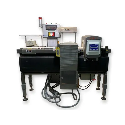 USED METTLER TOLEDO / SAFELINE, INC. STD/10X06/PG/300/ABS/V2