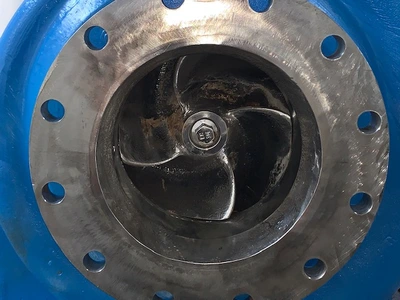 USED Goulds 3175M