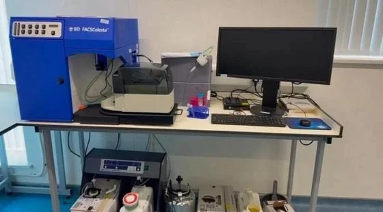Used BECTON DICKINSON (BD) FACSCELESTA Cellular Analysis Systems New Jersey US | Bionex Scientific LLC #800150
