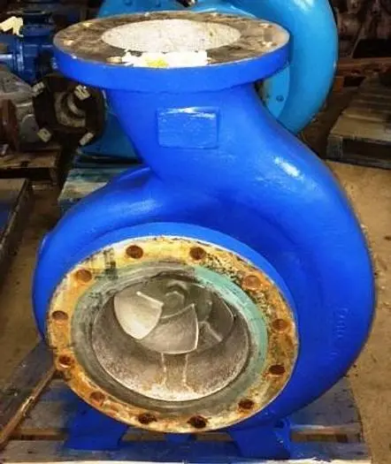 Goulds 3196 8x10x13 SS Pumps (2)