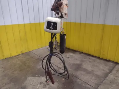 1 TON COFFING HOIST: STOCK #22474