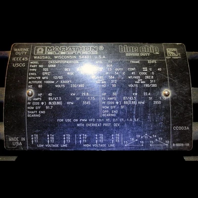 Marathon Blue Chip Severe Duty 40 HP Motor