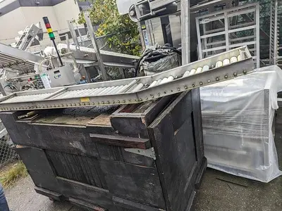 Pumpkin Squash Inspection & Cleaning Line