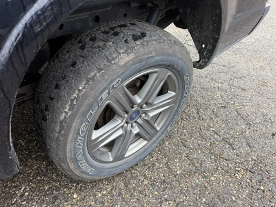 Used 2020 FORD F150 XLT FX4 OFF ROAD Pickup Trucks Michigan US | Miedema Asset Management Group #1574806
