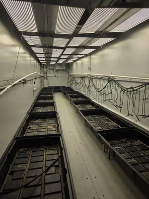 USED GROW POD SOLUTIONS 40'