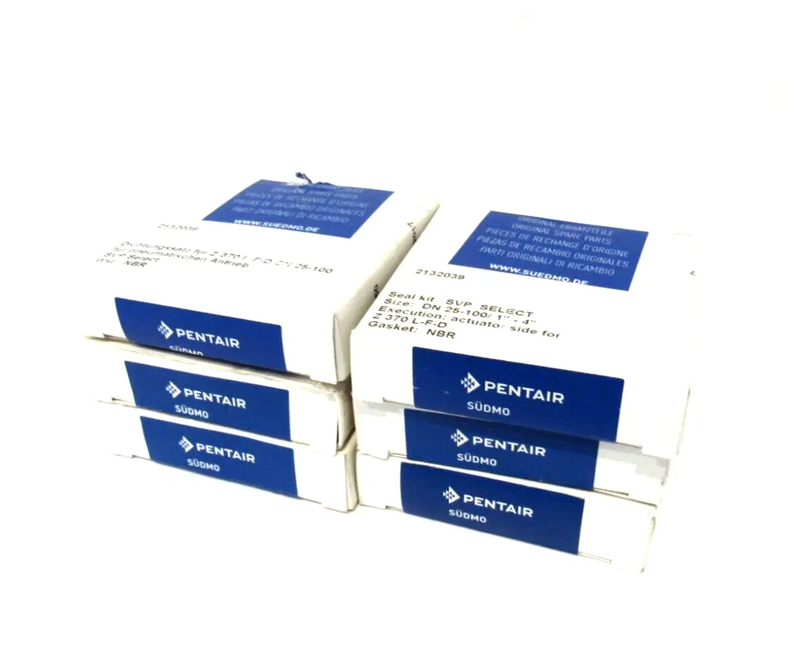 LOT OF 6 NEW PENTAIR 2132039 SEAL KITS
