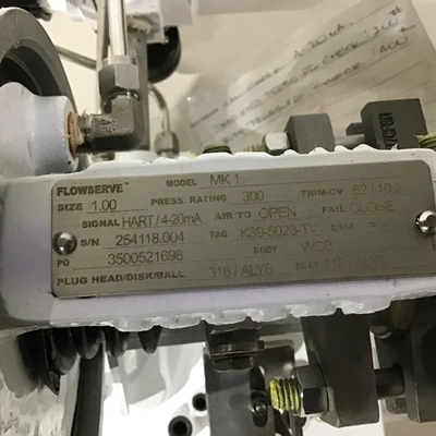 Flowserve K39-5028-TV – MK1 Globe Control Valve w/Pneumatic Actuator & Digital Valve Positioner
