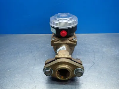 NEW BADGER METER RT0150BRNPNSXTDXXXX