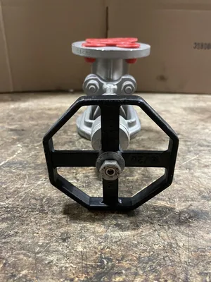Marck 3/4” Stainless Steel Manual Flanged Gate Valve