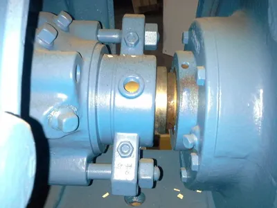 USED Goulds 3175