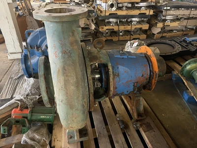 USED Goulds 3175